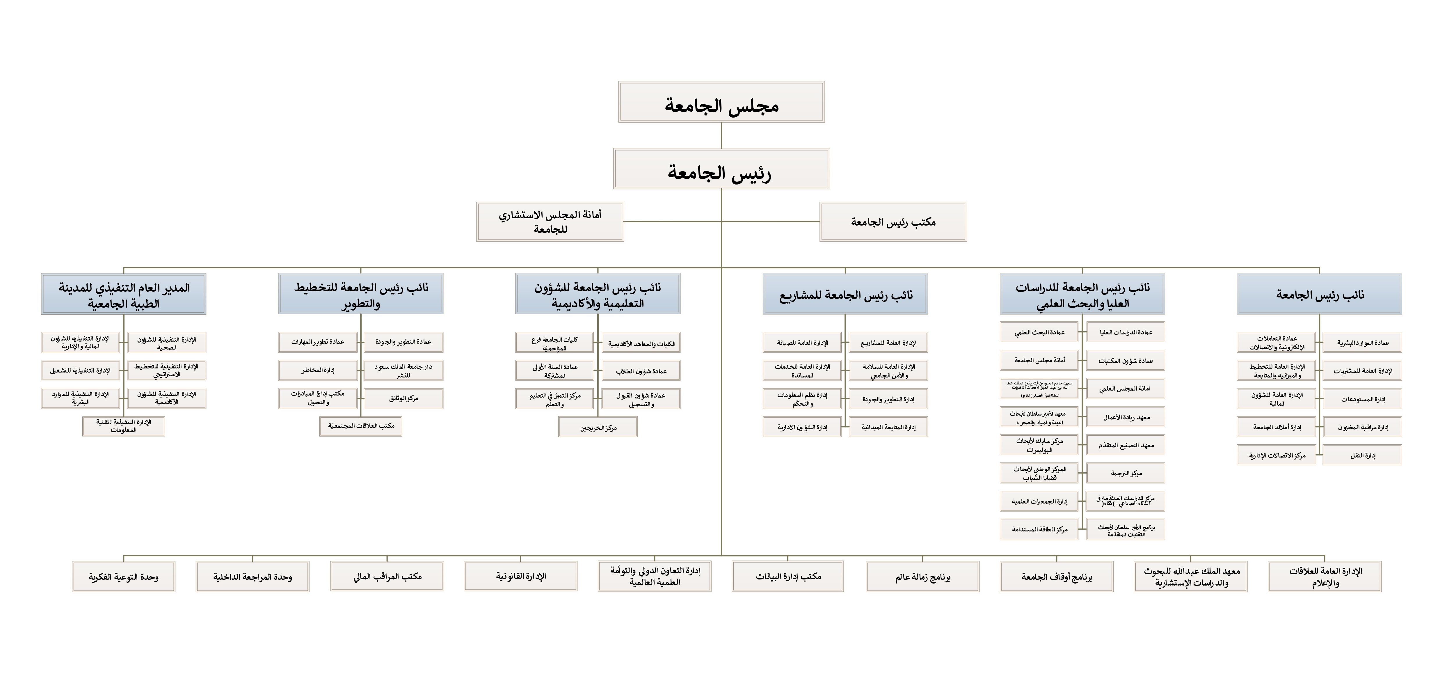 الهيكل التنظيمي